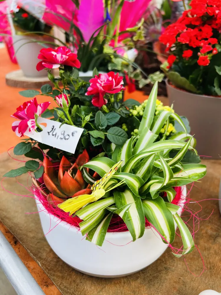 Poterie près de Macon